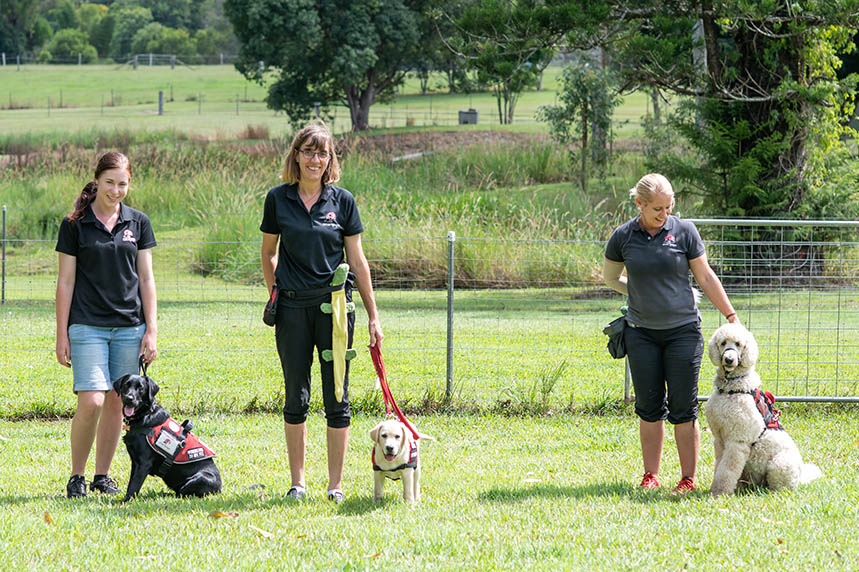 Three women training guide dogs